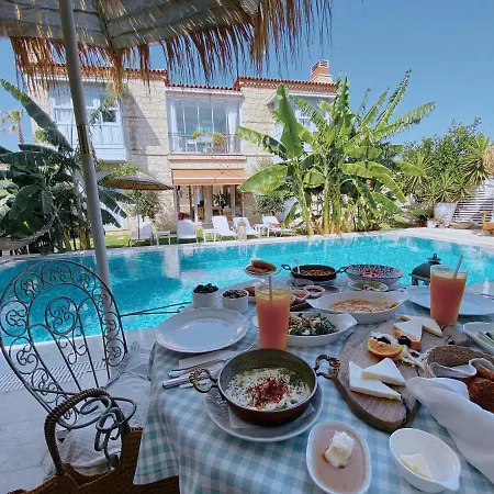 Katre 2* 알라카티